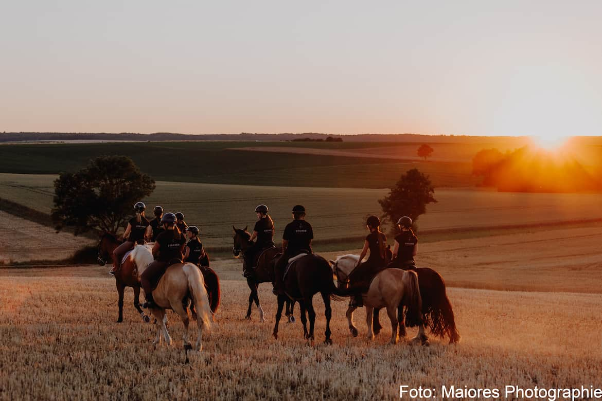 Reiter auf Feld bei Sonnenuntergang