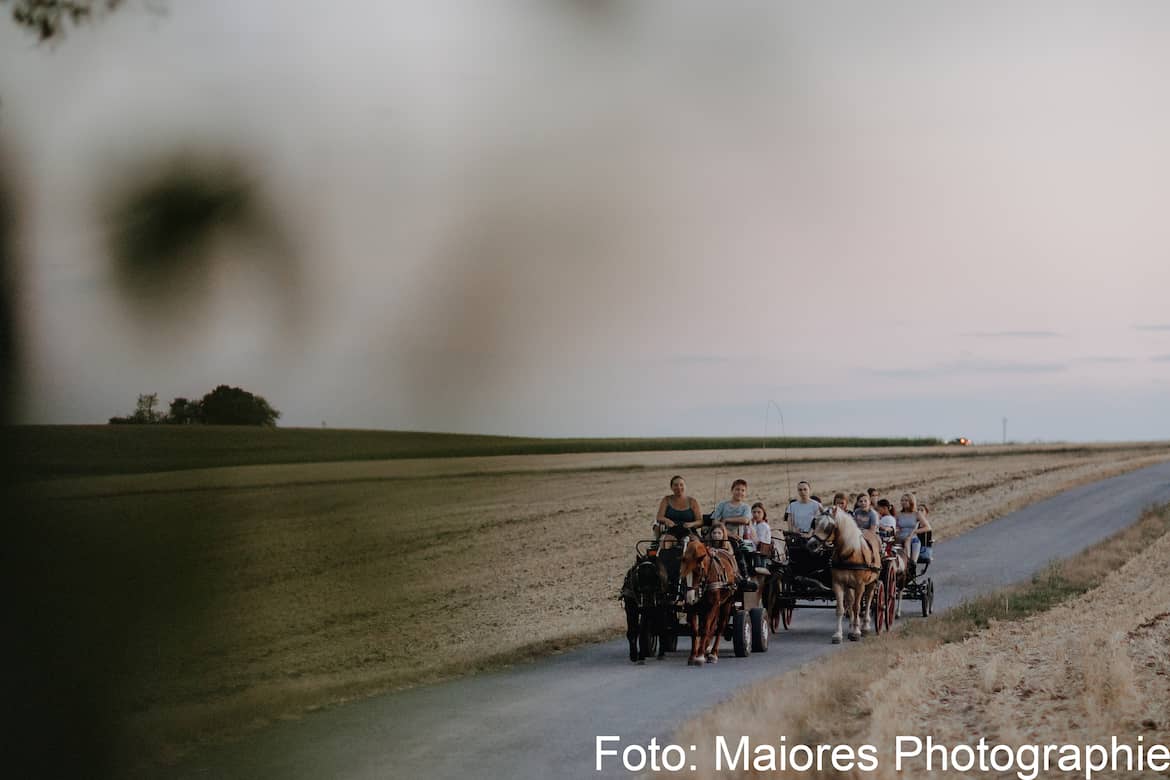 Gruppe fährt mit zwei Pferdekutschen auf Feldweg