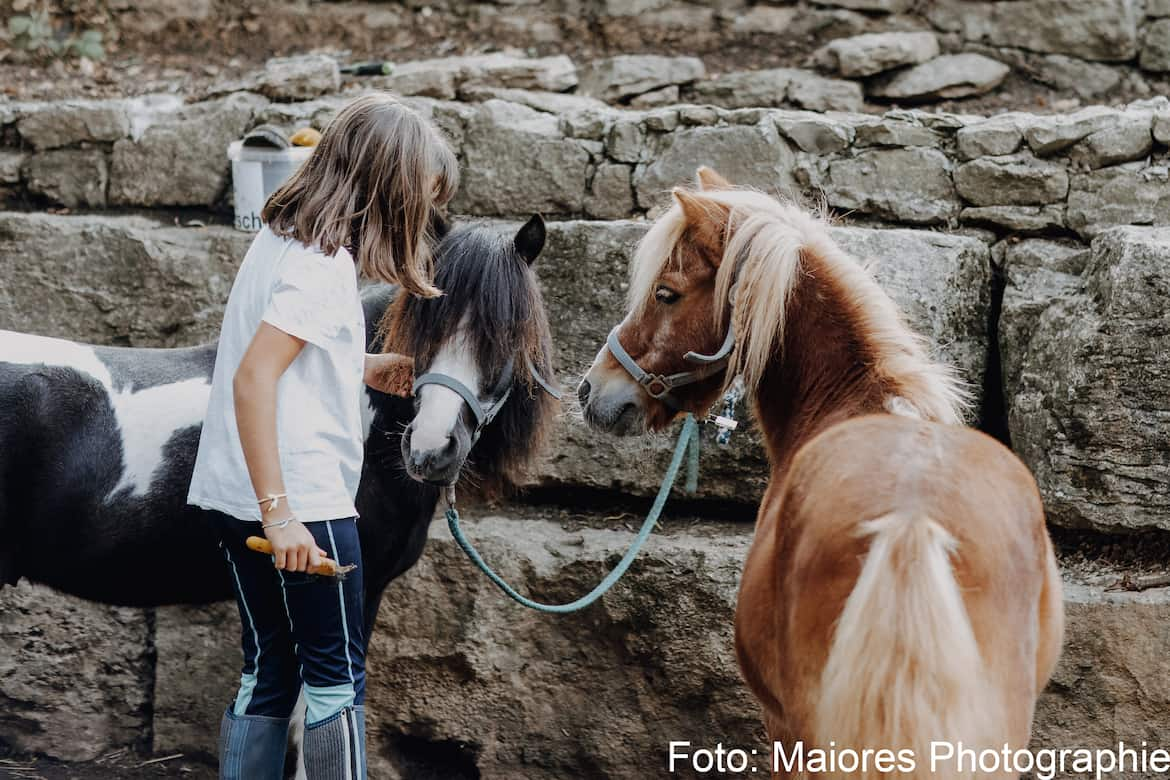 Kind bei zwei Ponys