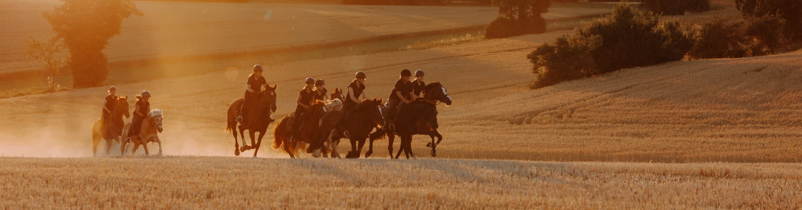 Reitergruppe auf Feld